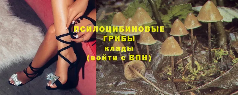 Галлюциногенные грибы Magic Shrooms  Горбатов 